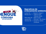 En tres meses, los operativos de ordenamiento ambiental descartaron 228 toneladas de elementos de patios y jardines