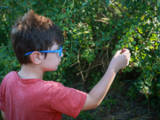 Jornadas de recolección de semillas en la Reserva Natural Urbana General San Martín