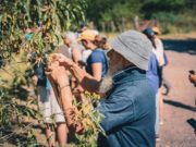 Participá de la segunda caminata de recolección de semillas en la Reserva Natural Urbana General San Martín