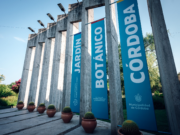 Tardes de arte y danza para pasar un domingo familiar en el Jardín Botánico