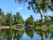 «Cantata del agua», «Secretos del Parque» y más actividades gratuitas en el patio de todos los cordobeses