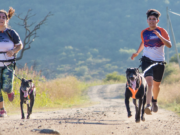 Último día para inscribirse a la primera maratón con perros en el Parque Sarmiento