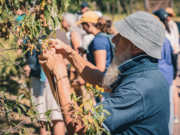 Caminata de Reconocimiento de Flora Nativa y taller de RCP en la Reserva Natural Urbana General San Martín
