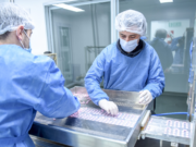 El Laboratorio Farmacéutico Municipal ya lleva producidos más de un millón y medio de comprimidos de paracetamol