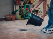 Mantengamos los cuidados contra el Dengue y descacharremos nuestros espacios