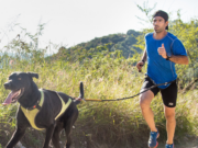 Se viene la primera maratón con perros en el Parque Sarmiento