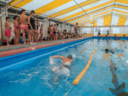 Cursos gratuitos de guardavida de natatorios, instructor de ajedrez y natación abiertos a la comunidad