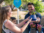El Día Mundial del Ambiente se celebra con ecocanjes por toda la ciudad y variadas actividades para la familia