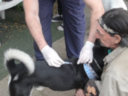 Vacunaron contra la rabia a más de 1800 animales de compañía en tres meses