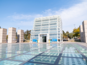 La muestra colectiva “Gráfica Viva” sale de feria a la explanada del MMAU