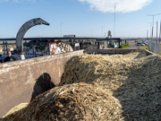 Cómo funcionan los CTR municipales, donde los vecinos pueden llevar gratuitamente residuos de todo tipo