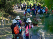 Sábado con recorrido gratuito por la Reserva Natural Urbana General San Martín para celebrar la Semana del Árbol