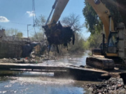 Pronostican abundantes lluvias y tormentas para el fin de semana: recomendaciones y a dónde contactarse por emergencias