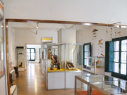 Mes de las Infancias: se inaugura «Dinosaurios en el Museo MIA»