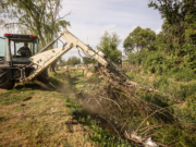 36 toneladas de residuos retiradas del canal Maestro Sur