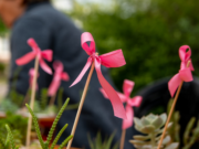 Córdoba Rosa: continúan las actividades de prevención y diagnostico precoz del Cáncer de Mama