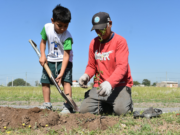 Más verde urbano: comenzó la plantación de 2000 nuevos árboles nativos en ocho ciudades del área metropolitana