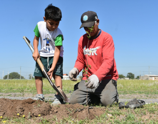 Más verde urbano: comenzó la plantación de 2000 nuevos árboles nativos en ocho ciudades del área metropolitana