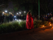 El Parque de la Biodiversidad se suma a la nueva edición de La Noche de los Museos