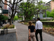 La nueva Peatonal Ayacucho luce renovada: espacio verde, accesible y moderno en el corazón de la ciudad