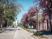 Con avances en infraestructura, patrimonio y ecología en el Área Central, finaliza la ejecución del programa Respira Córdoba