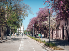 Con avances en infraestructura, patrimonio y ecología en el Área Central, finaliza la ejecución del programa Respira Córdoba