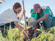 Comenzó la plantación de mil árboles nativos a orillas del Río Suquía y se creará un microbosque de más de 60 mil metros cuadrados
