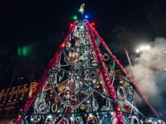 Desde el próximo lunes, el árbol de Navidad iluminará la Plaza San Martín
