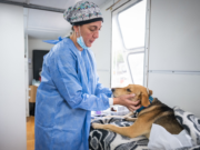 Desde mañana, vecinos podrán reservar turnos para castraciones de animales de compañía en el CPC Ruta 20