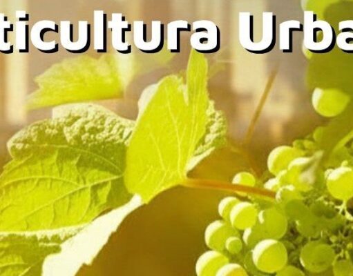 La Universidad Libre del Ambiente lanza su primer seminario de Viticultura Urbana La Universidad Libre Del Ambiente Lanza Su Primer Seminario De Viticultura Urbana