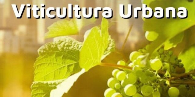La Universidad Libre Del Ambiente Lanza Su Primer Seminario De Viticultura Urbana
